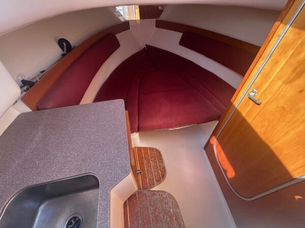 <strong>WHITE SHARK</strong></br>SUN DECK 248 – Image 9