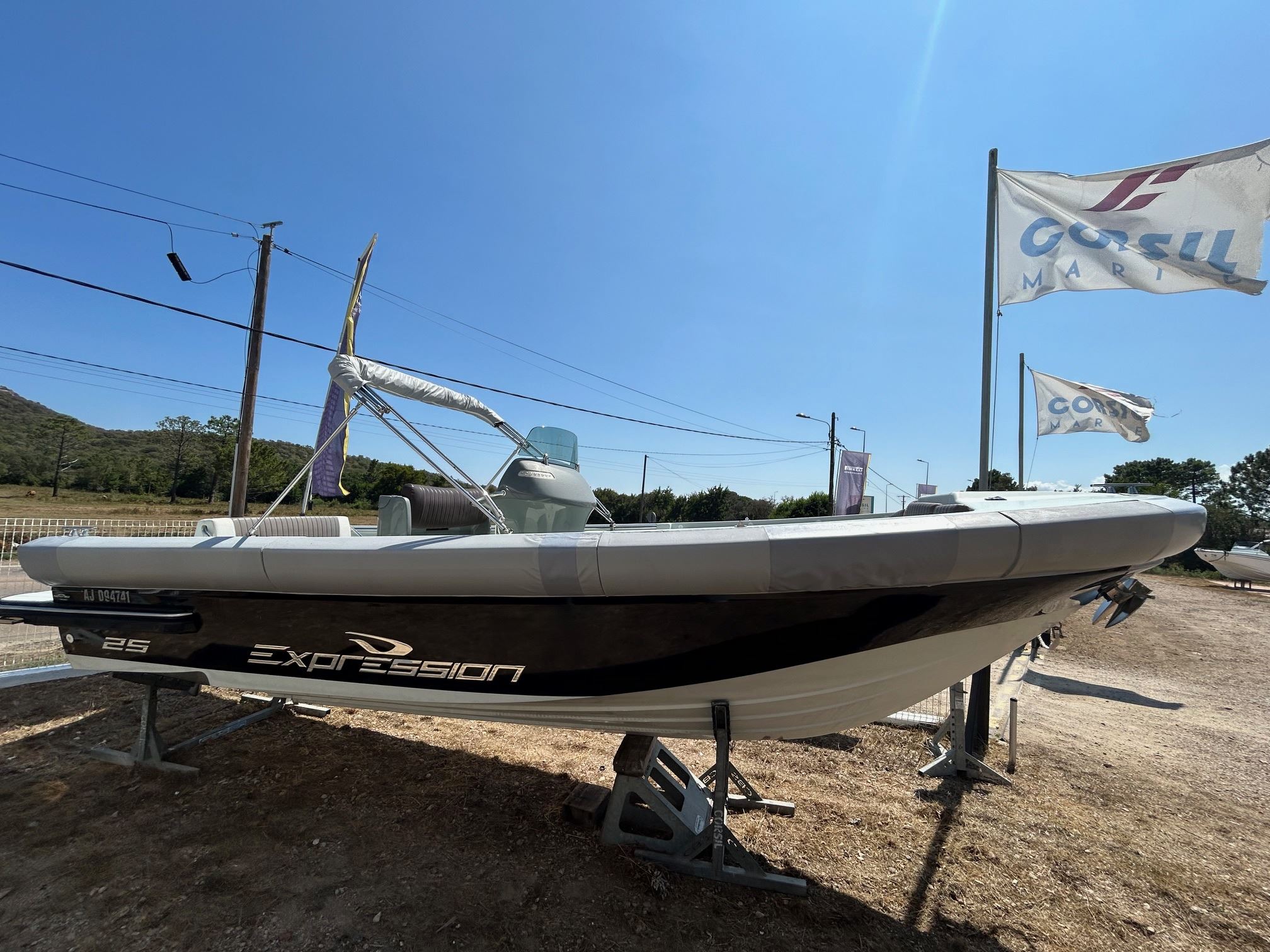 <strong>EXPRESSION</strong></br>25