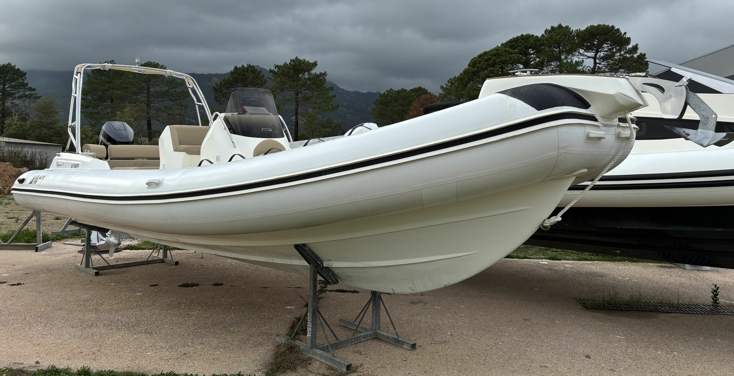 <strong>BLACKFIN</strong></br>ELEGANCE 9 – Image 3