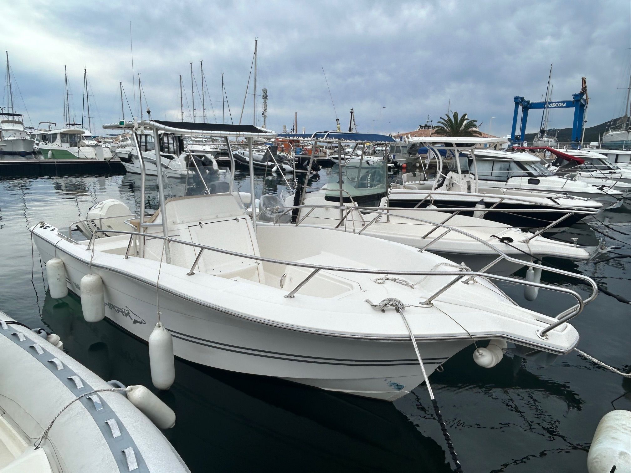 <strong>WHITE SHARK</strong></br>226