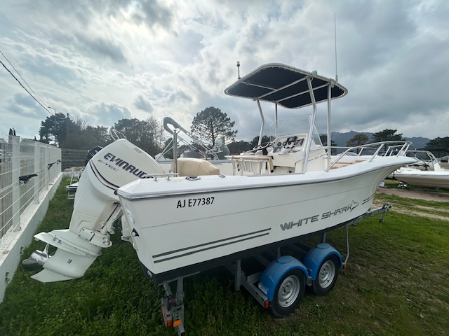 <strong>WHITE SHARK</strong></br>226 – Image 2