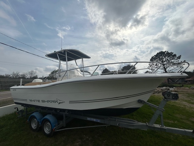 <strong>WHITE SHARK</strong></br>226 – Image 3