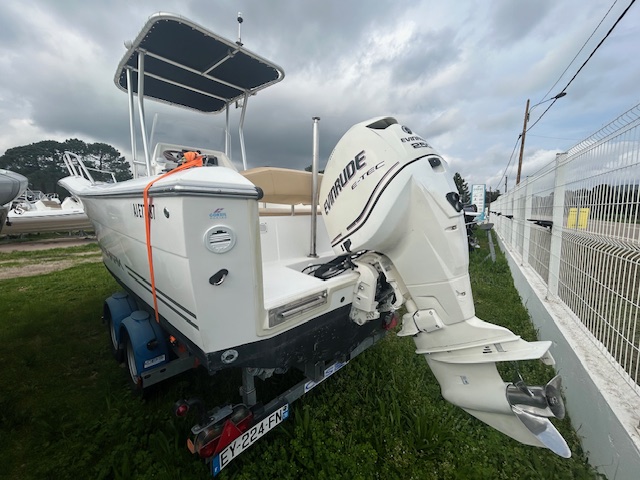 <strong>WHITE SHARK</strong></br>226 – Image 4