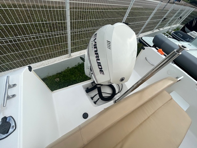 <strong>WHITE SHARK</strong></br>226 – Image 6