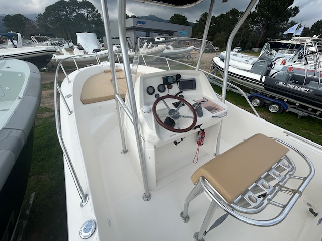 <strong>WHITE SHARK</strong></br>226 – Image 7