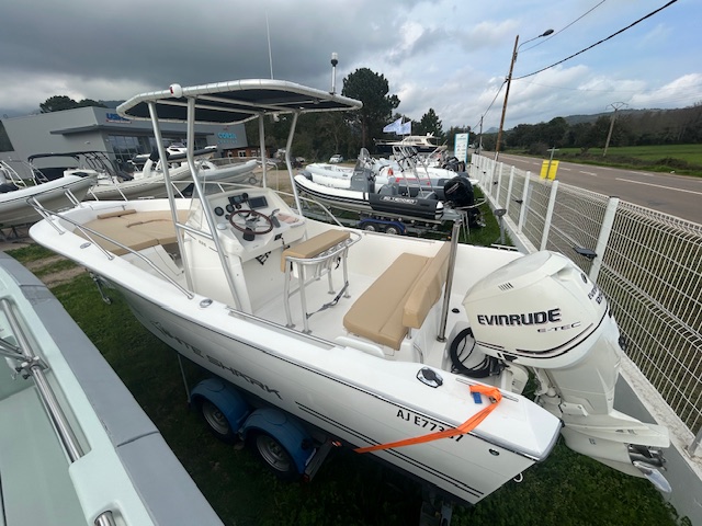 <strong>WHITE SHARK</strong></br>226 – Image 8