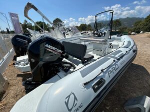 <strong>ZODIAC</strong></br>PRO 5.5