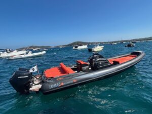 <strong>LOMAC</strong></br>ADRENALINA 9.0