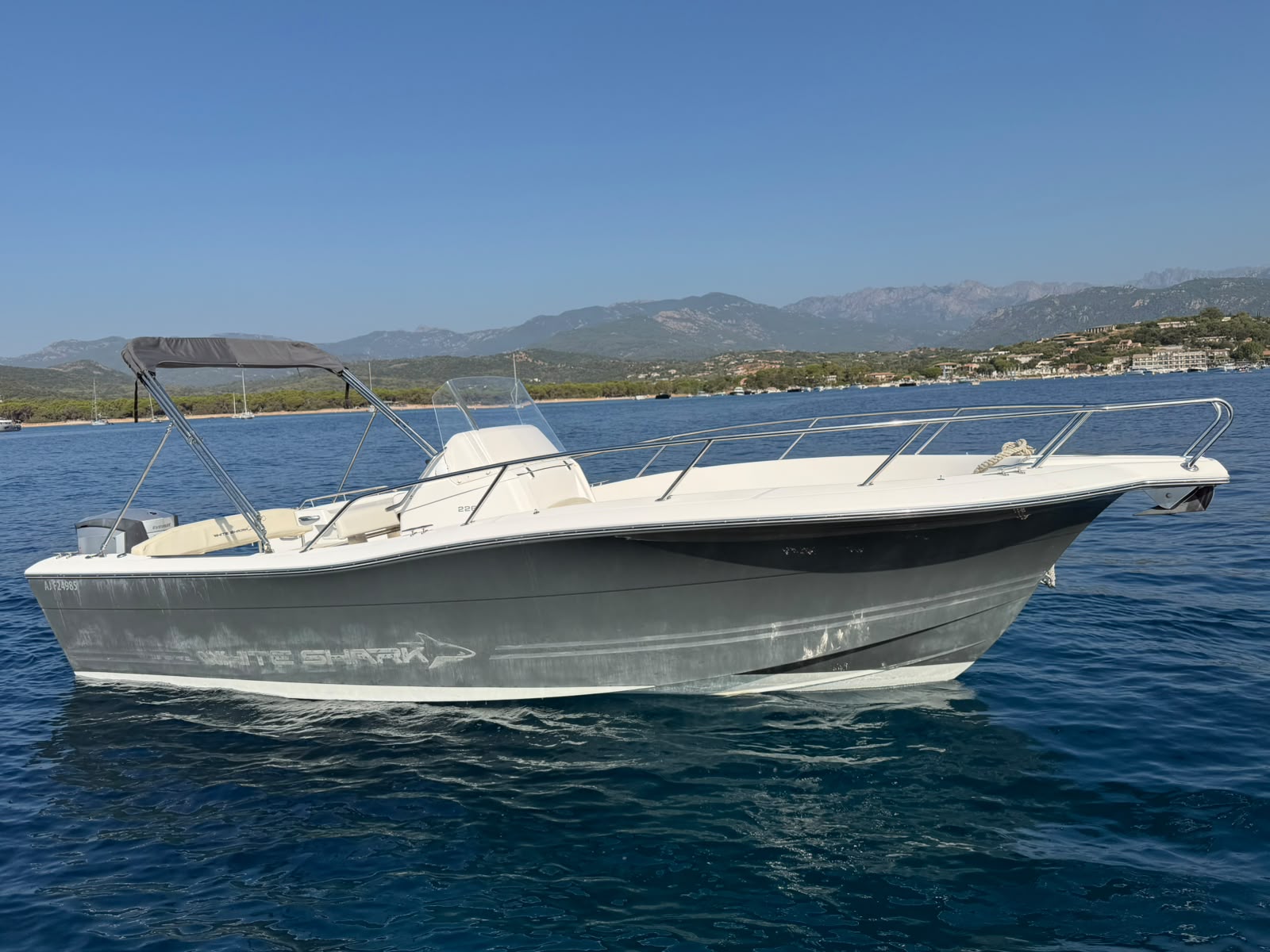<strong>WHITE SHARK</strong></br>226