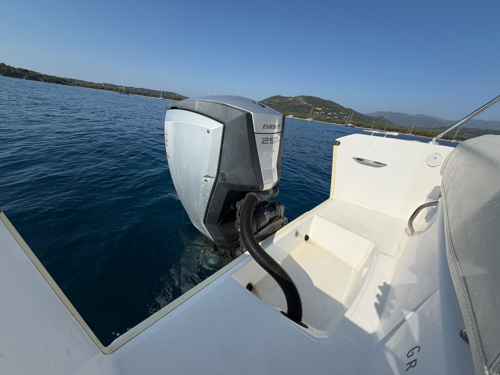 <strong>WHITE SHARK</strong></br>226 – Image 5