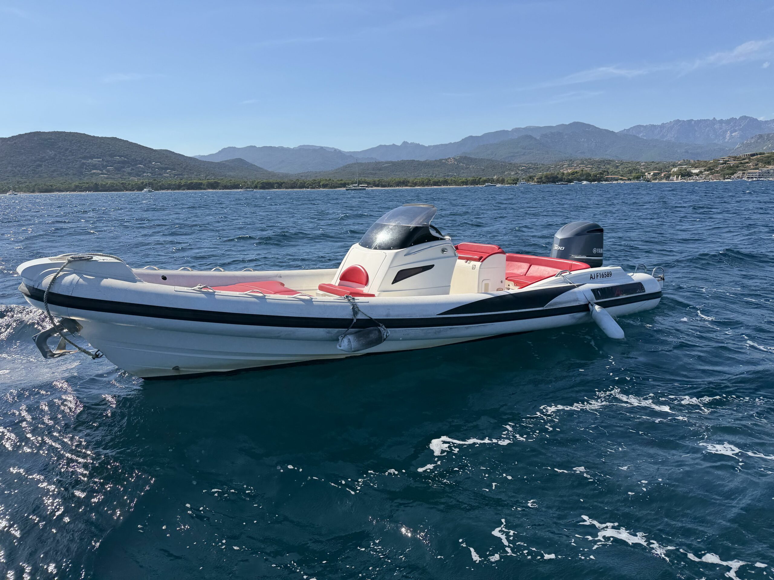 <strong>LOMAC</strong></br>ADRENALINA 7.5 – Image 5