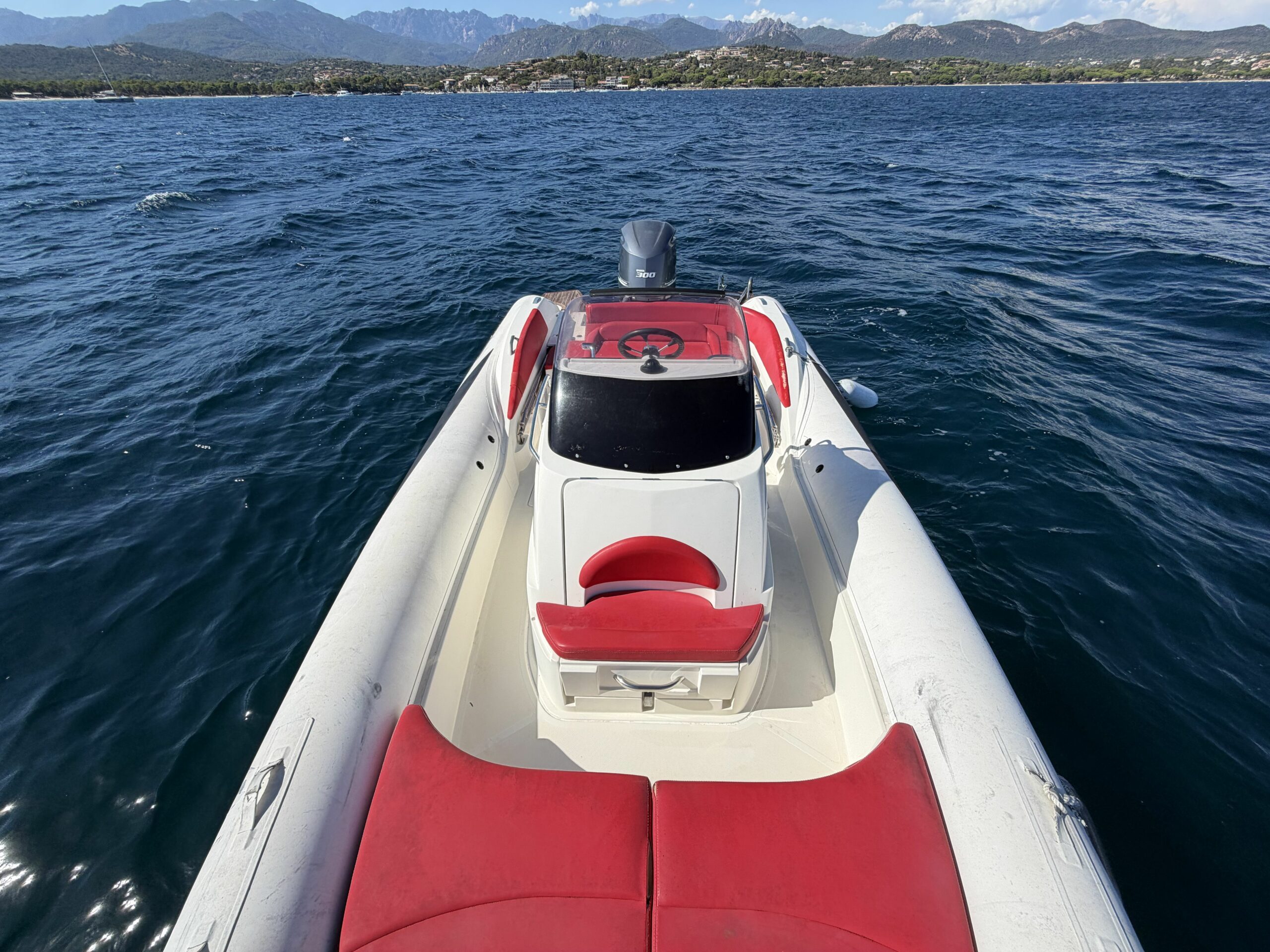 <strong>LOMAC</strong></br>ADRENALINA 7.5 – Image 8