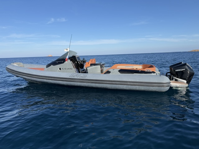 <strong>SACS</strong></br>STRIDER 11